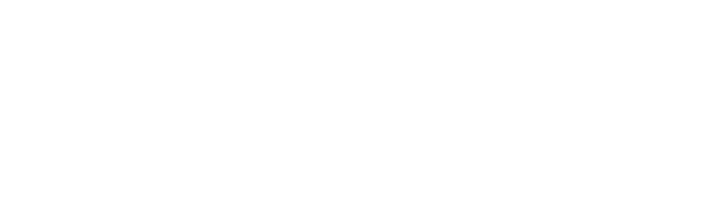Q&A